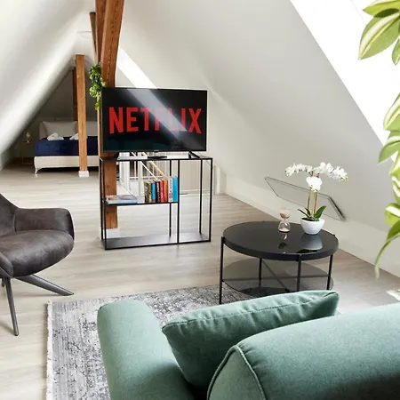 Apartment Schlossberg Residences - Xxl-design-apartment Mit Schlossblick Fuer Bis Zu 12 Personen Schwetzingen